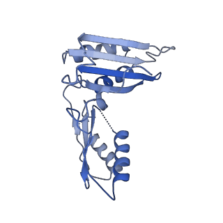 6790_5xyu_C_v1-3
Small subunit of Mycobacterium smegmatis ribosome