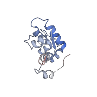 6790_5xyu_D_v1-2
Small subunit of Mycobacterium smegmatis ribosome