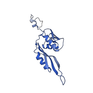 6790_5xyu_E_v1-2
Small subunit of Mycobacterium smegmatis ribosome