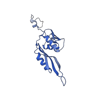 6790_5xyu_E_v1-3
Small subunit of Mycobacterium smegmatis ribosome