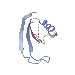 6790_5xyu_F_v1-3
Small subunit of Mycobacterium smegmatis ribosome