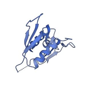 6790_5xyu_H_v1-2
Small subunit of Mycobacterium smegmatis ribosome