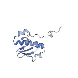 6790_5xyu_I_v1-2
Small subunit of Mycobacterium smegmatis ribosome