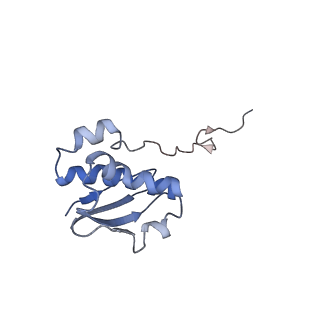 6790_5xyu_I_v1-3
Small subunit of Mycobacterium smegmatis ribosome