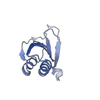 6790_5xyu_K_v1-2
Small subunit of Mycobacterium smegmatis ribosome