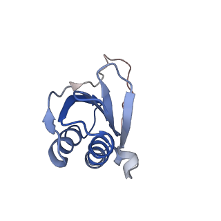 6790_5xyu_K_v1-3
Small subunit of Mycobacterium smegmatis ribosome