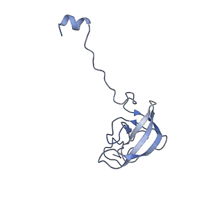 6790_5xyu_L_v1-3
Small subunit of Mycobacterium smegmatis ribosome