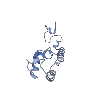 6790_5xyu_M_v1-2
Small subunit of Mycobacterium smegmatis ribosome