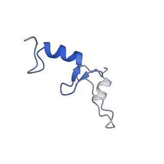 6790_5xyu_N_v1-2
Small subunit of Mycobacterium smegmatis ribosome