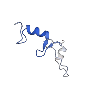 6790_5xyu_N_v1-3
Small subunit of Mycobacterium smegmatis ribosome