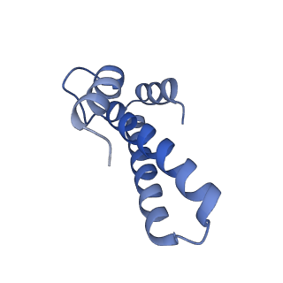 6790_5xyu_O_v1-3
Small subunit of Mycobacterium smegmatis ribosome