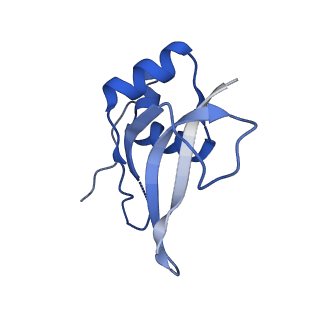 6790_5xyu_P_v1-2
Small subunit of Mycobacterium smegmatis ribosome