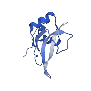 6790_5xyu_P_v1-3
Small subunit of Mycobacterium smegmatis ribosome