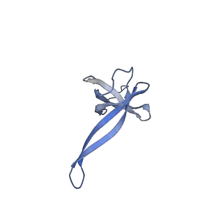 6790_5xyu_Q_v1-2
Small subunit of Mycobacterium smegmatis ribosome