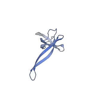 6790_5xyu_Q_v1-3
Small subunit of Mycobacterium smegmatis ribosome