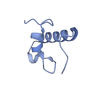 6790_5xyu_R_v1-2
Small subunit of Mycobacterium smegmatis ribosome