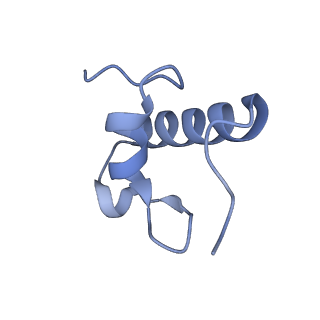 6790_5xyu_R_v1-3
Small subunit of Mycobacterium smegmatis ribosome