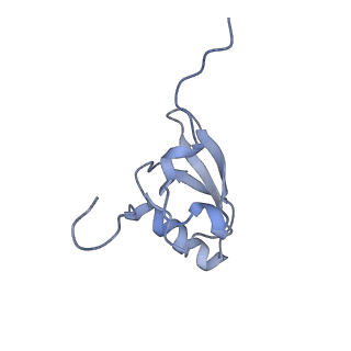 6790_5xyu_S_v1-2
Small subunit of Mycobacterium smegmatis ribosome