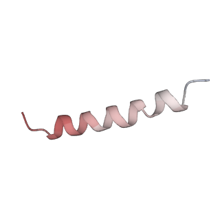 6790_5xyu_U_v1-3
Small subunit of Mycobacterium smegmatis ribosome