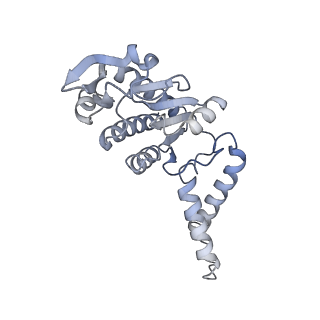10656_6xza_B1_v1-0
E. coli 70S ribosome in complex with dirithromycin, and deacylated tRNA(iMet) (focused classification).