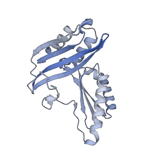 10656_6xza_C1_v1-0
E. coli 70S ribosome in complex with dirithromycin, and deacylated tRNA(iMet) (focused classification).