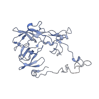 10656_6xza_C2_v1-0
E. coli 70S ribosome in complex with dirithromycin, and deacylated tRNA(iMet) (focused classification).