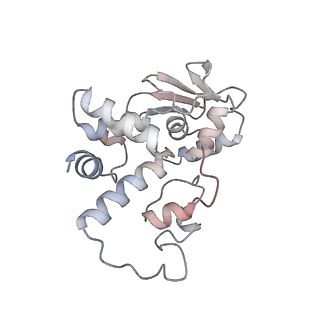 10656_6xza_D1_v1-0
E. coli 70S ribosome in complex with dirithromycin, and deacylated tRNA(iMet) (focused classification).