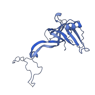 10656_6xza_D2_v1-0
E. coli 70S ribosome in complex with dirithromycin, and deacylated tRNA(iMet) (focused classification).