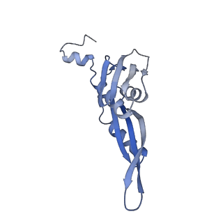 10656_6xza_E1_v1-0
E. coli 70S ribosome in complex with dirithromycin, and deacylated tRNA(iMet) (focused classification).