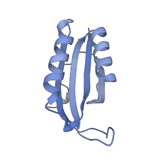 10656_6xza_F1_v1-0
E. coli 70S ribosome in complex with dirithromycin, and deacylated tRNA(iMet) (focused classification).