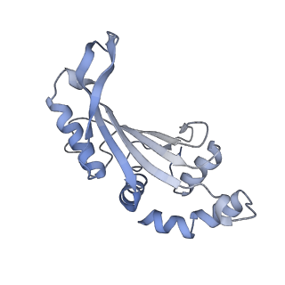 10656_6xza_F2_v1-0
E. coli 70S ribosome in complex with dirithromycin, and deacylated tRNA(iMet) (focused classification).