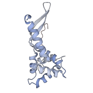 10656_6xza_G1_v1-0
E. coli 70S ribosome in complex with dirithromycin, and deacylated tRNA(iMet) (focused classification).