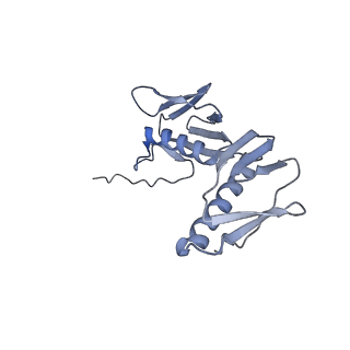 10656_6xza_G2_v1-0
E. coli 70S ribosome in complex with dirithromycin, and deacylated tRNA(iMet) (focused classification).