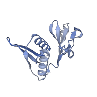 10656_6xza_H1_v1-0
E. coli 70S ribosome in complex with dirithromycin, and deacylated tRNA(iMet) (focused classification).