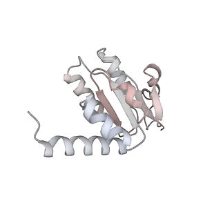 10656_6xza_H2_v1-0
E. coli 70S ribosome in complex with dirithromycin, and deacylated tRNA(iMet) (focused classification).