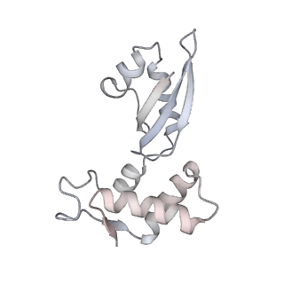 10656_6xza_I2_v1-0
E. coli 70S ribosome in complex with dirithromycin, and deacylated tRNA(iMet) (focused classification).