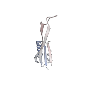 10656_6xza_J1_v1-0
E. coli 70S ribosome in complex with dirithromycin, and deacylated tRNA(iMet) (focused classification).