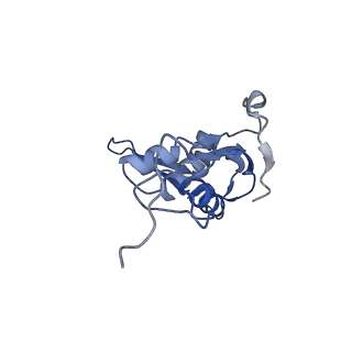 10656_6xza_J2_v1-0
E. coli 70S ribosome in complex with dirithromycin, and deacylated tRNA(iMet) (focused classification).