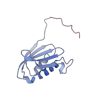 10656_6xza_K1_v1-0
E. coli 70S ribosome in complex with dirithromycin, and deacylated tRNA(iMet) (focused classification).