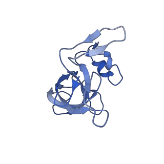 10656_6xza_K2_v1-0
E. coli 70S ribosome in complex with dirithromycin, and deacylated tRNA(iMet) (focused classification).