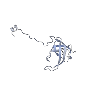10656_6xza_L1_v1-0
E. coli 70S ribosome in complex with dirithromycin, and deacylated tRNA(iMet) (focused classification).
