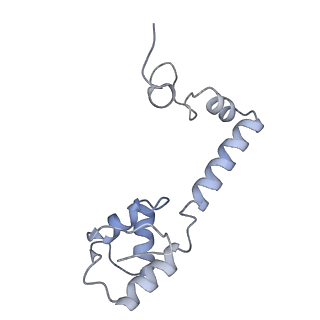 10656_6xza_M1_v1-0
E. coli 70S ribosome in complex with dirithromycin, and deacylated tRNA(iMet) (focused classification).