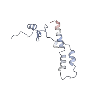 10656_6xza_N1_v1-0
E. coli 70S ribosome in complex with dirithromycin, and deacylated tRNA(iMet) (focused classification).