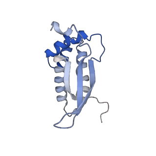 10656_6xza_N2_v1-0
E. coli 70S ribosome in complex with dirithromycin, and deacylated tRNA(iMet) (focused classification).