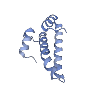10656_6xza_O1_v1-0
E. coli 70S ribosome in complex with dirithromycin, and deacylated tRNA(iMet) (focused classification).