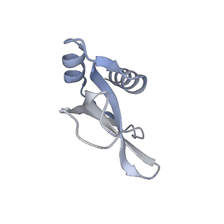 10656_6xza_P1_v1-0
E. coli 70S ribosome in complex with dirithromycin, and deacylated tRNA(iMet) (focused classification).