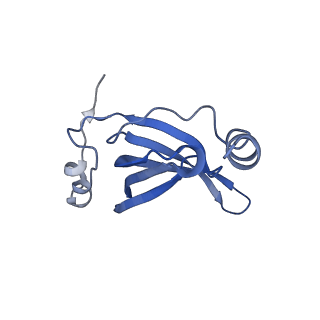 10656_6xza_P2_v1-0
E. coli 70S ribosome in complex with dirithromycin, and deacylated tRNA(iMet) (focused classification).