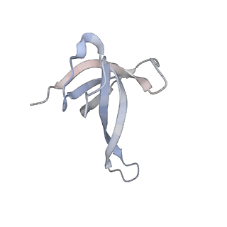 10656_6xza_Q1_v1-0
E. coli 70S ribosome in complex with dirithromycin, and deacylated tRNA(iMet) (focused classification).