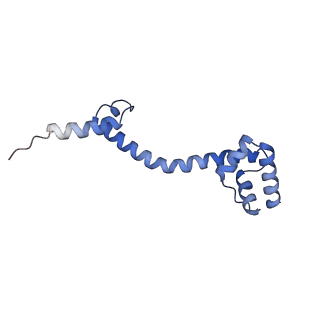 10656_6xza_Q2_v1-0
E. coli 70S ribosome in complex with dirithromycin, and deacylated tRNA(iMet) (focused classification).