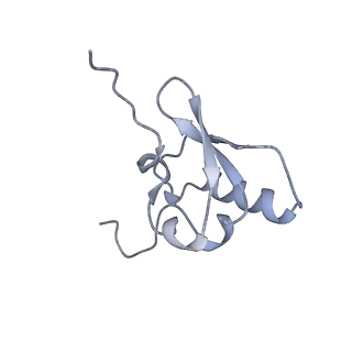 10656_6xza_S1_v1-0
E. coli 70S ribosome in complex with dirithromycin, and deacylated tRNA(iMet) (focused classification).